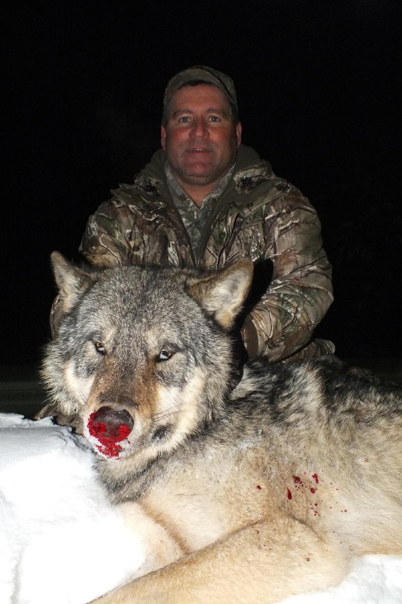 Ontario Wolf Hunting Photos